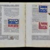 Rothschild - 104-113