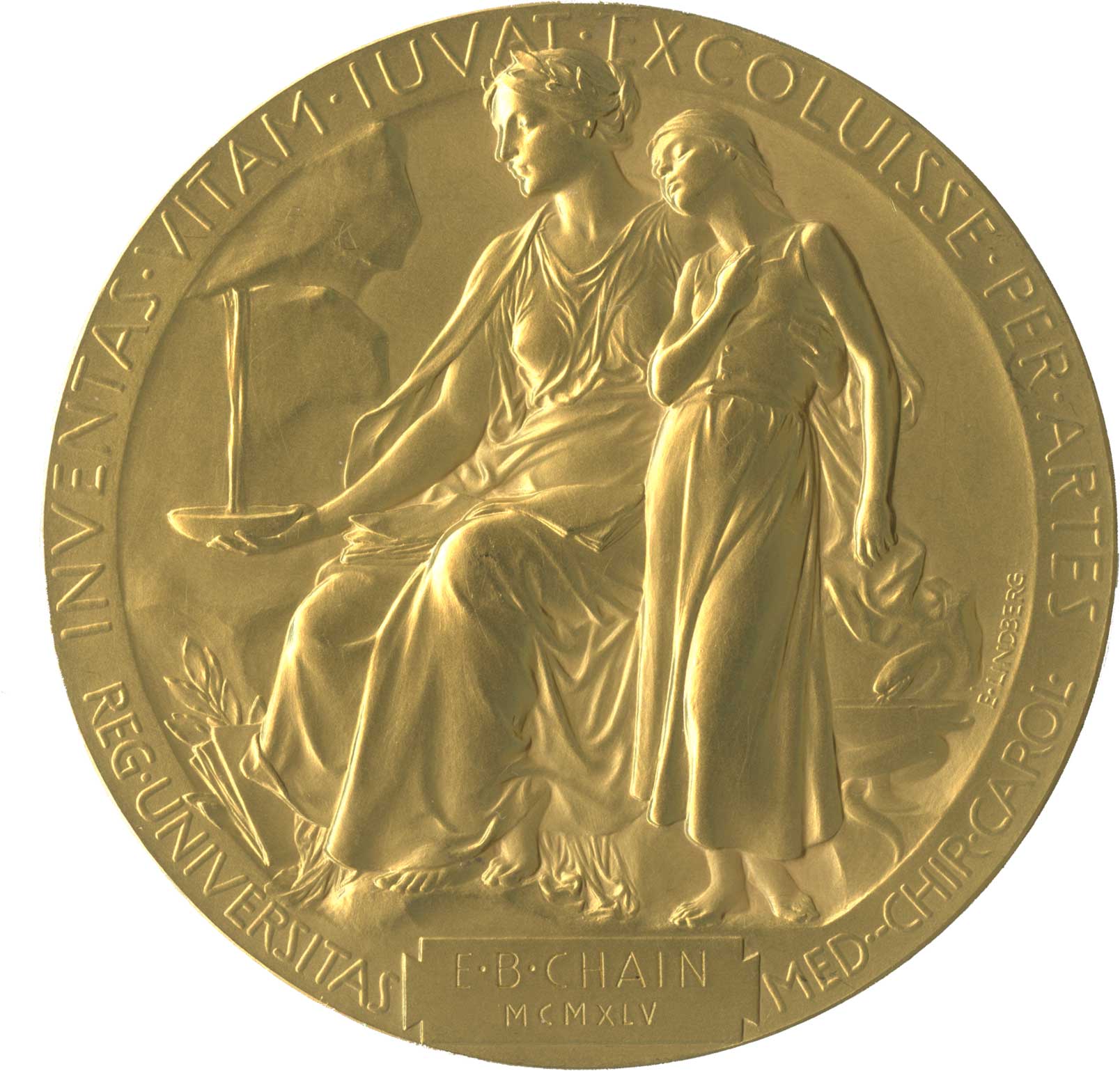 Ernst Chain's Nobel Prize medallion, reverse