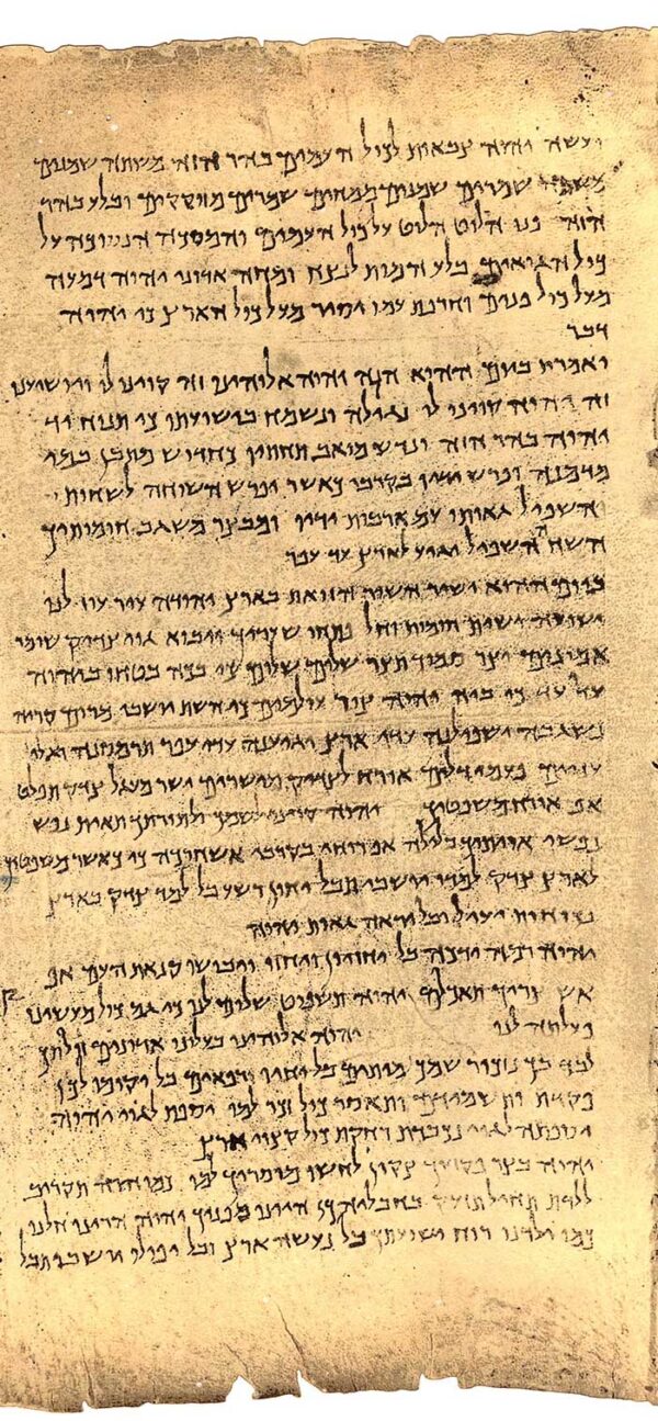 Column 20<br>(Is 25:6 - 26:18)<br><span style="color: #d2a658;"><strong>Sheepskin parchment</strong></span></h1>